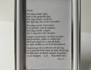 focus door marc k