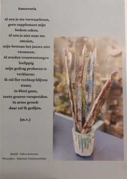 sanseveria door martien vh